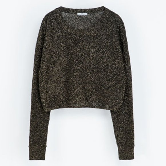 Zara Tops Zara Sparkly Long Sleeve Crop Top Poshmark